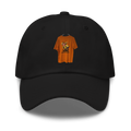 Chattanooga Express Dad hat