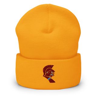 Saint Joseph-Ogden High School Soccer Cuffed Beanie | Yupoong 1501KC