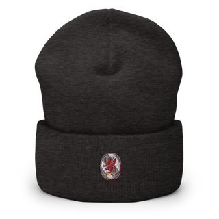 3rd Battalion 13th Field Artillery Regiment 52621930 Cuffed Beanie | Yupoong 1501KC