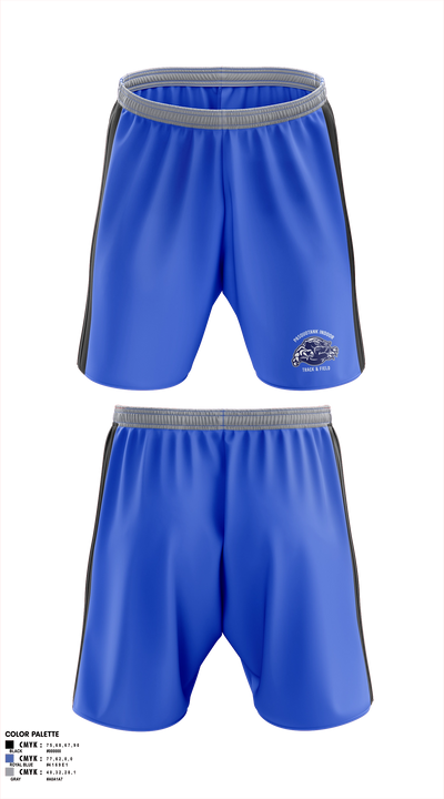 Pasquotank County Panthers 65448582 Arm Sleeve - 2