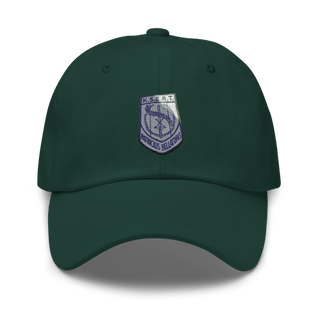 Gator Team 41666299 Classic Dad Hat | Yupoong 6245CM