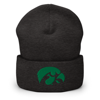 D-R Falcons 66653623 Cuffed Beanie | Yupoong 1501KC