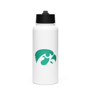 D-R Falcons 66653623 Stainless Steel Water Bottle with a Straw Lid