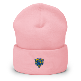 Wynyard Composite High School 42182962 Cuffed Beanie | Yupoong 1501KC