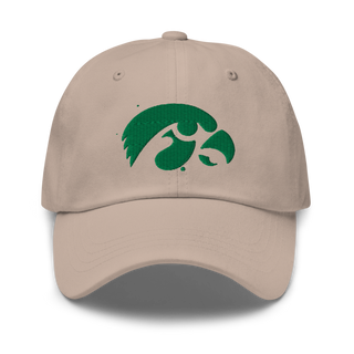 D-R Falcons 66653623 Classic Dad Hat | Yupoong 6245CM