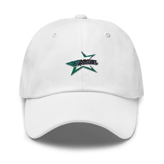 T&A Express LLC 81291487 Classic Dad Hat | Yupoong 6245CM