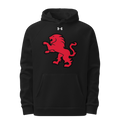 Dulaney Lions Baseball 10641314 Under Armour Hoodie
