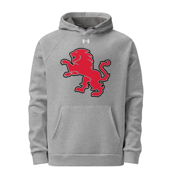 Dulaney Lions Baseball 10641314 Under Armour Hoodie