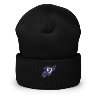 Plainview Hawks 3189173 Cuffed Beanie | Yupoong 1501KC