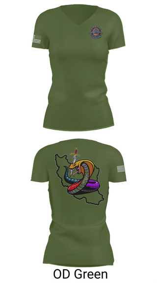 Womens Short Sleeve Vneck Shirt, Iran DCIT, Army, Teamtime, Team time, sublimation, custom sports apparel, team uniforms, spirit wear, spiritwear, sports uniforms, custom shirts, team store, custom team store, fundraiser sports, apparel fundraiser