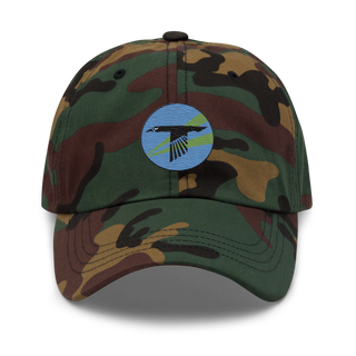World Famous Black Ravens 41628241 Classic Dad Hat | Yupoong 6245CM