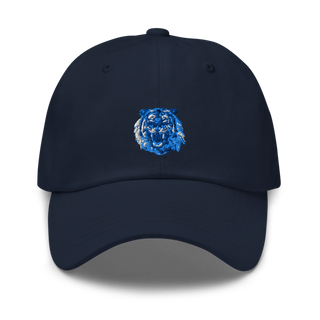 Tigers 5765428 Classic Dad Hat | Yupoong 6245CM