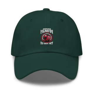 James River Humane Society 19714076 Classic Dad Hat | Yupoong 6245CM