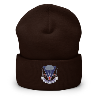 2-134 IN BN 89013479 Cuffed Beanie | Yupoong 1501KC
