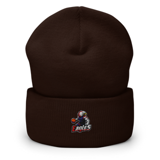 Eagles Cuffed Beanie | Yupoong 1501KC