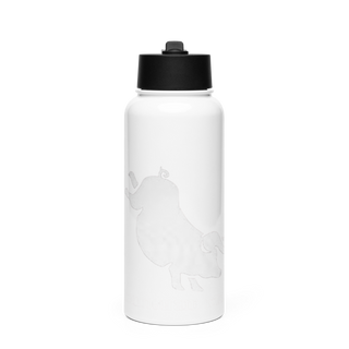 Buckingham Farm 88271968 Stainless Steel Water Bottle with a Straw Lid
