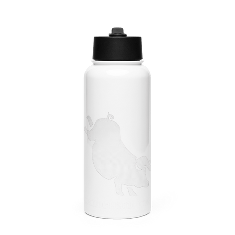 Buckingham Farm 88271968 Stainless Steel Water Bottle with a Straw Lid