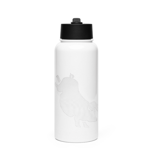 Buckingham Farm 88271968 Stainless Steel Water Bottle with a Straw Lid