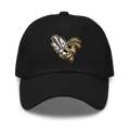 404 Stingers Dad hat