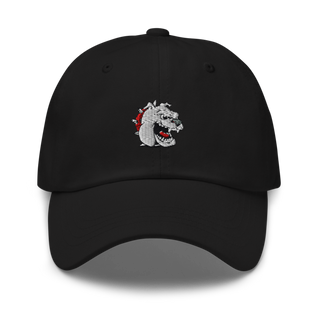 La Plata R-2 Cross Country 78923726 Classic Dad Hat | Yupoong 6245CM