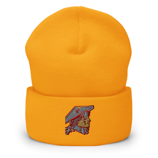 Patriot Taxi 13677637 Cuffed Beanie | Yupoong 1501KC
