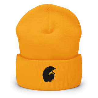 Williamsville north Cuffed Beanie | Yupoong 1501KC