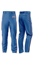 Pascagoula Panthers 11956634 Baseball Pants - 21