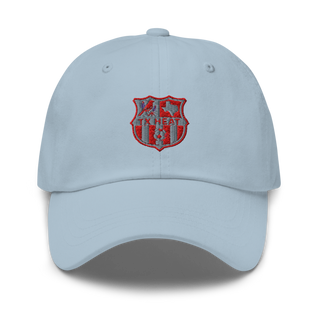TX HEAT 2370396 Classic Dad Hat | Yupoong 6245CM