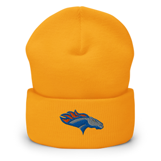 SUNY Orange Golf 10827581 Cuffed Beanie | Yupoong 1501KC