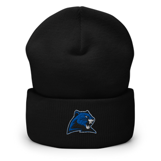 Marion C Early R-5 High School Cheer 22257490 Cuffed Beanie | Yupoong 1501KC
