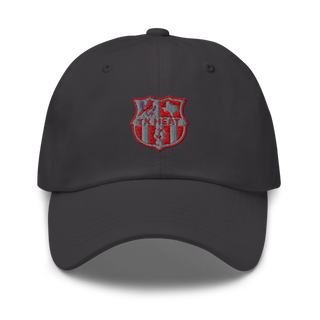 TX HEAT 2370396 Classic Dad Hat | Yupoong 6245CM