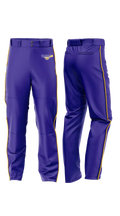 Harrisburg High School Baseball 14865526 Baseball Pants - 21