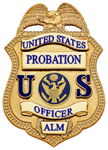 U.S. PROBATION Stainless Steel Water Bottle with a Straw Lid
