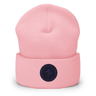 CNT 18227256 Cuffed Beanie | Yupoong 1501KC
