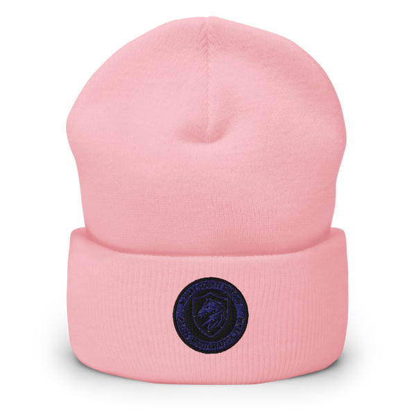 CNT 18227256 Cuffed Beanie | Yupoong 1501KC