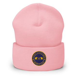 440th CBRN CO 79820871 Cuffed Beanie | Yupoong 1501KC