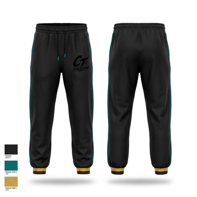 Ct falcons Sweatpants - 2