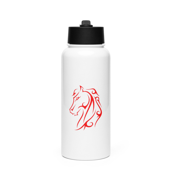 819 RHS 34102519 Stainless Steel Water Bottle with a Straw Lid