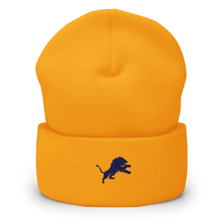 Pope John XXIII Regional High School Basketball 70006632 Cuffed Beanie | Yupoong 1501KC