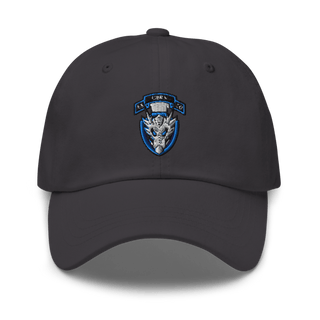 1st Platoon, 95th CBRN 66149028 Classic Dad Hat | Yupoong 6245CM