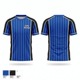 Short Sleeve Performance Shirt, Lady Dawgs, Softball, Teamtime, Team time, sublimation, custom sports apparel, team uniforms, spirit wear, spiritwear, sports uniforms, custom shirts, team store, custom team store, fundraiser sports, apparel fundraiser
