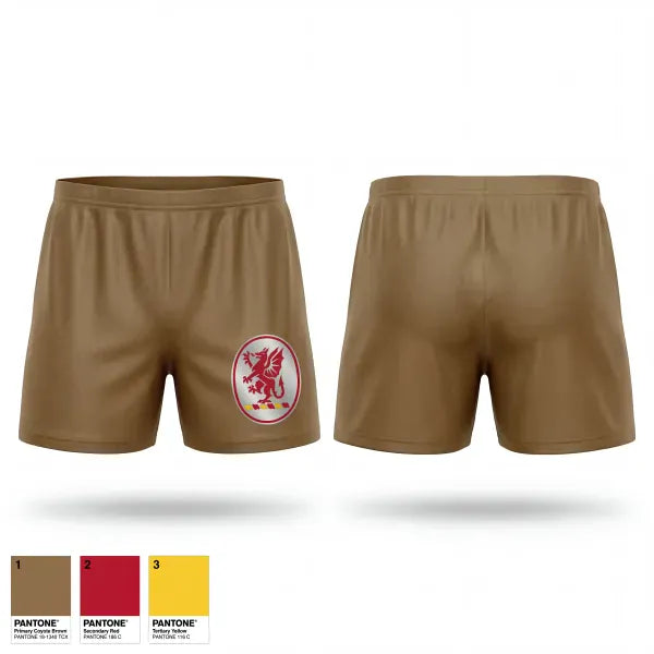 Ranger Panties, 3-13th 66th FSC, Army, Teamtime, Team time, sublimation, custom sports apparel, team uniforms, spirit wear, spiritwear, sports uniforms, custom shirts, team store, custom team store, fundraiser sports, apparel fundraiser