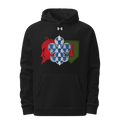 3-66 AR 33931527 Under Armour Hoodie