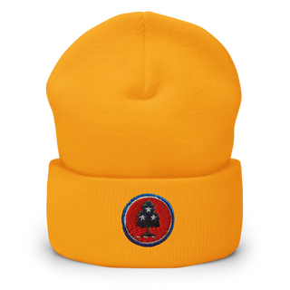 208th MCAS 6752981 Cuffed Beanie | Yupoong 1501KC