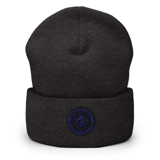 CNT 18227256 Cuffed Beanie | Yupoong 1501KC