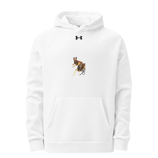 31K 16297588 Under Armour Hoodie