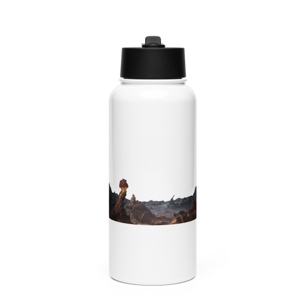Joch 46878005 Stainless Steel Water Bottle with a Straw Lid