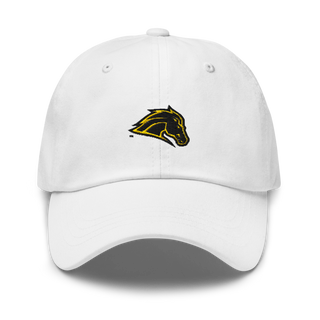 Metea Valley High School Cheer 96396999 Classic Dad Hat | Yupoong 6245CM
