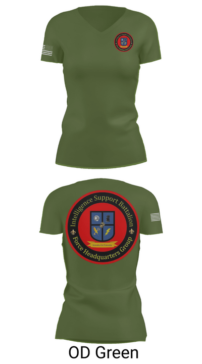Intelligence Support Battalion 57442174 Women's Short Sleeve V-neck Shirt - 48