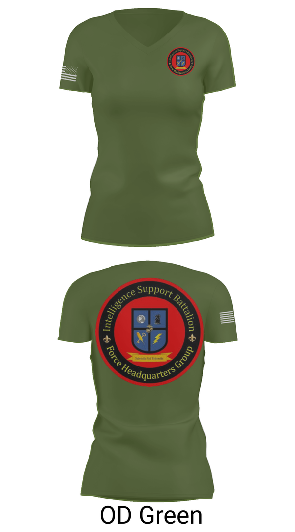 Womens Short Sleeve Vneck Shirt, Intelligence Support Battalion, , Teamtime, Team time, sublimation, custom sports apparel, team uniforms, spirit wear, spiritwear, sports uniforms, custom shirts, team store, custom team store, fundraiser sports, apparel fundraiser